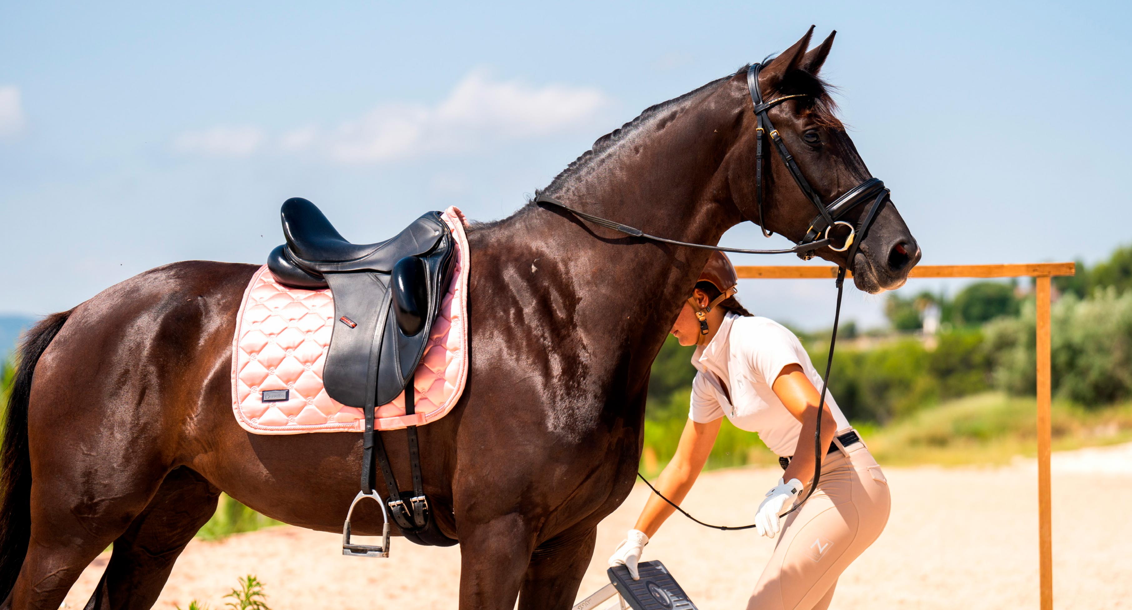 Caballo