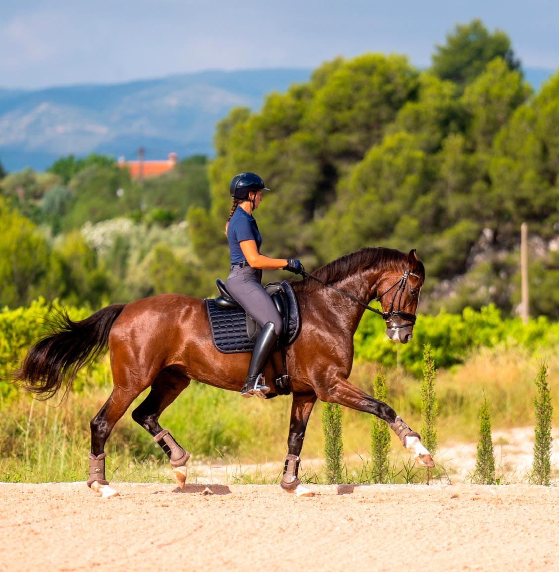 Caballo